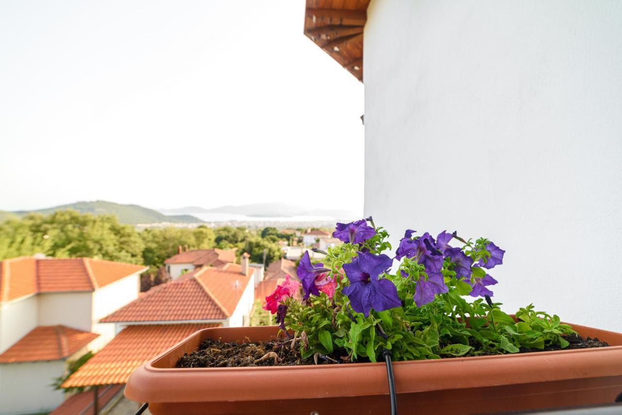 Mansion Chalatsopoulos Volos Bagian luar foto